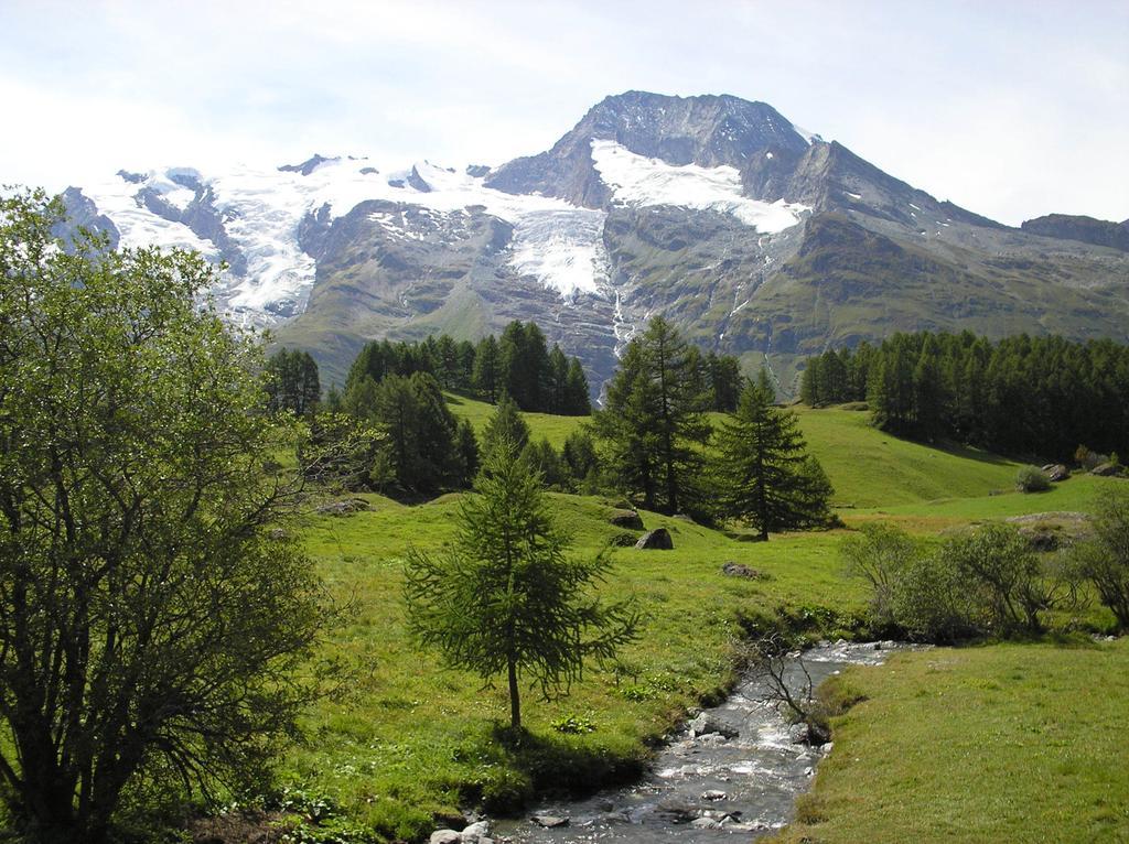 Bed and Breakfast Chalet Bois D'Antan Sainte-Foy-Tarentaise Exteriér fotografie